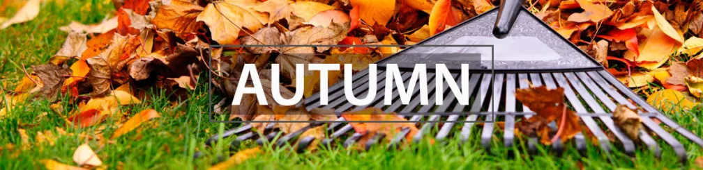 Autumn