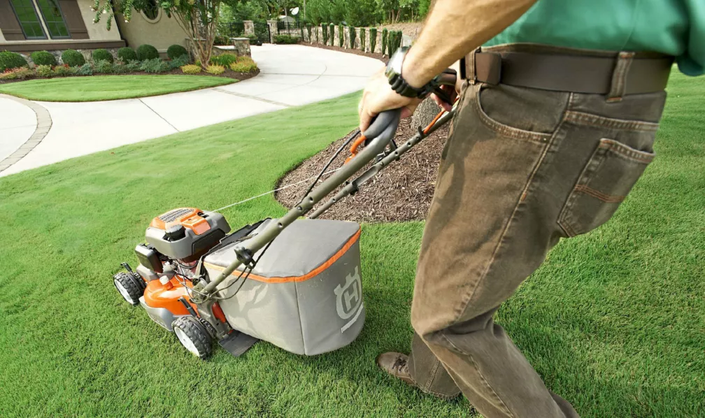 Lawn edges