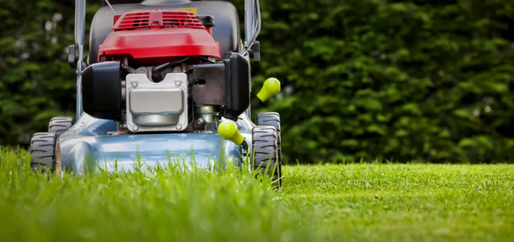 Mowing guide