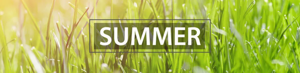 Summer